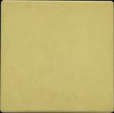 Standard Yellow